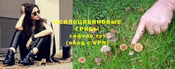 spice Заволжье