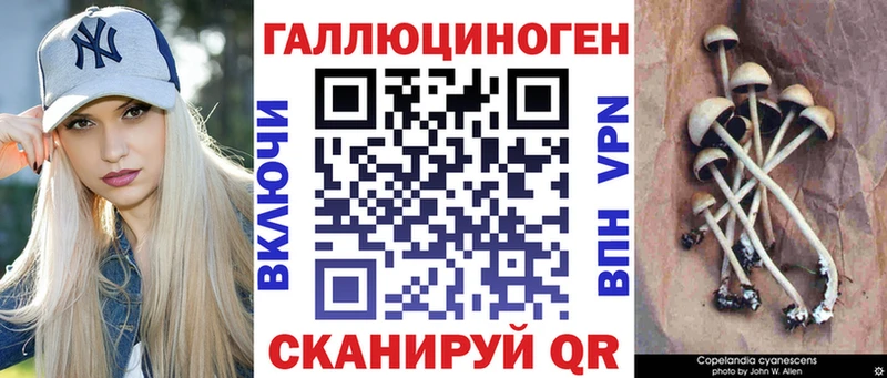 даркнет состав  где продают наркотики  Истра  Псилоцибиновые грибы ЛСД 