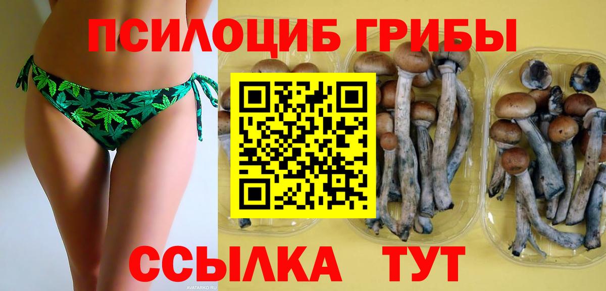 Галлюциногенные грибы Psilocybine cubensis  Вход с VPN  где найти   Псилоцибиновые грибы GOLDEN TEACHER  Истра 